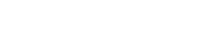 snowflake-logo-white